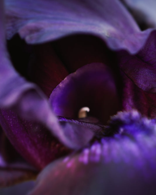 Love Letter #15
