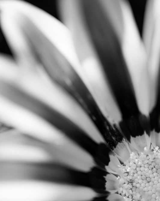 Love Letter #30