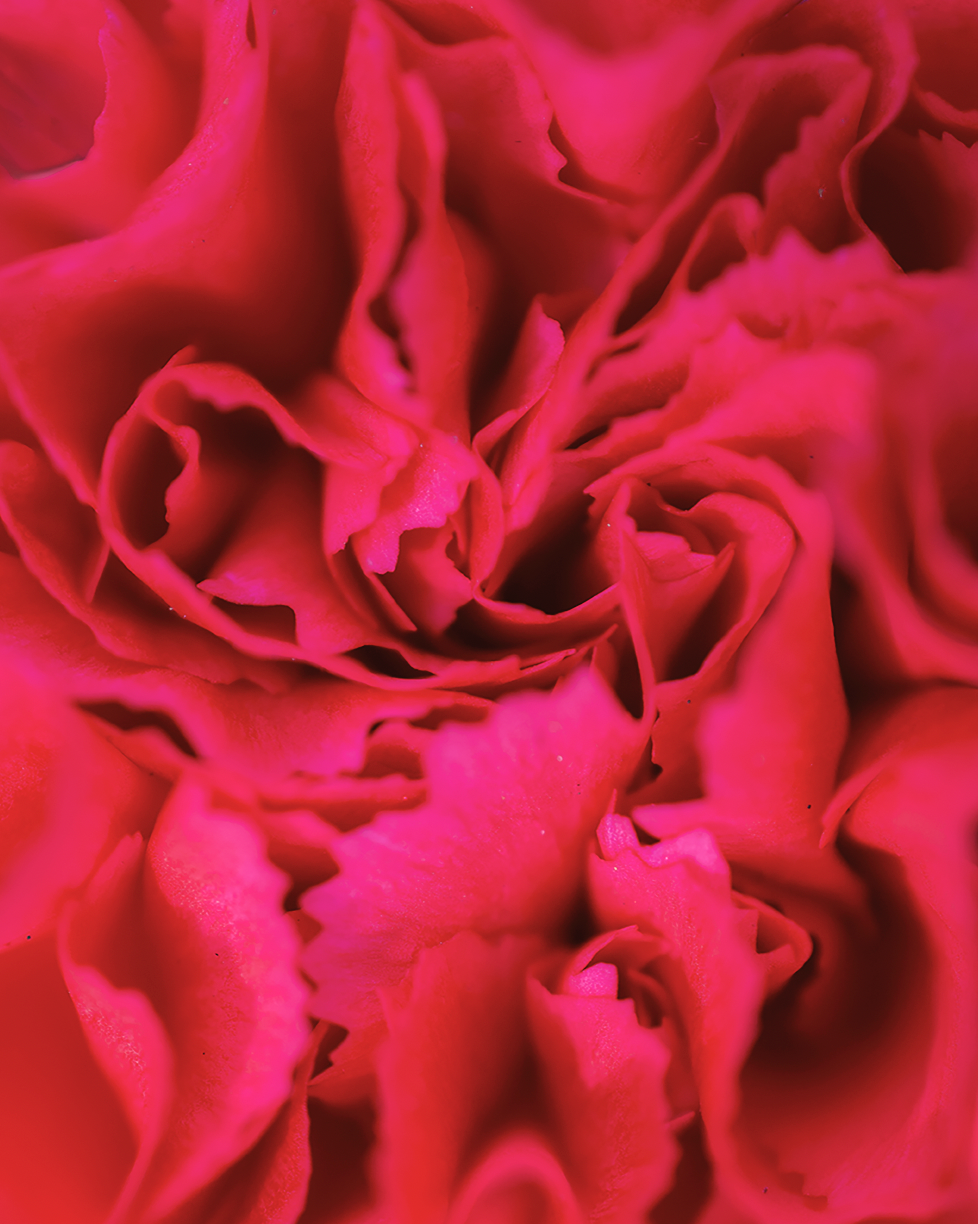 Love Letter #11