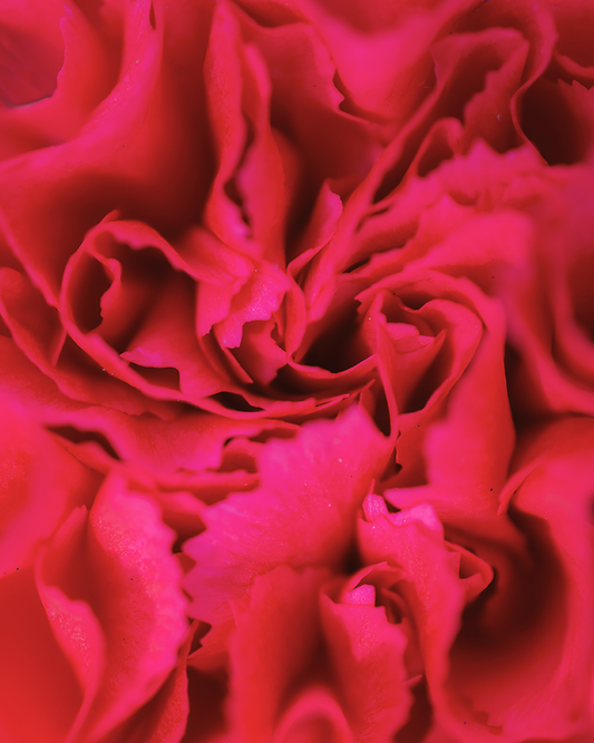 Love Letter #11