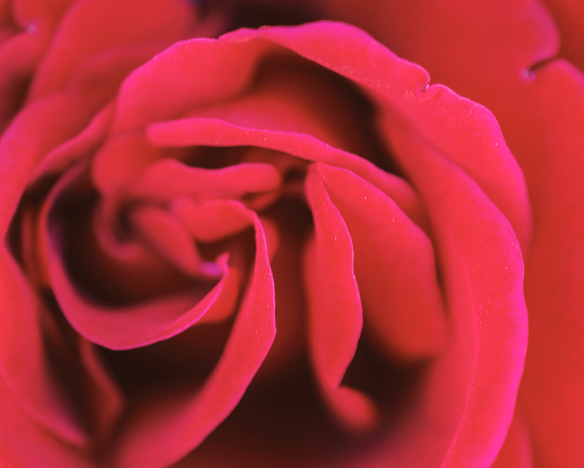 Love Letter #4